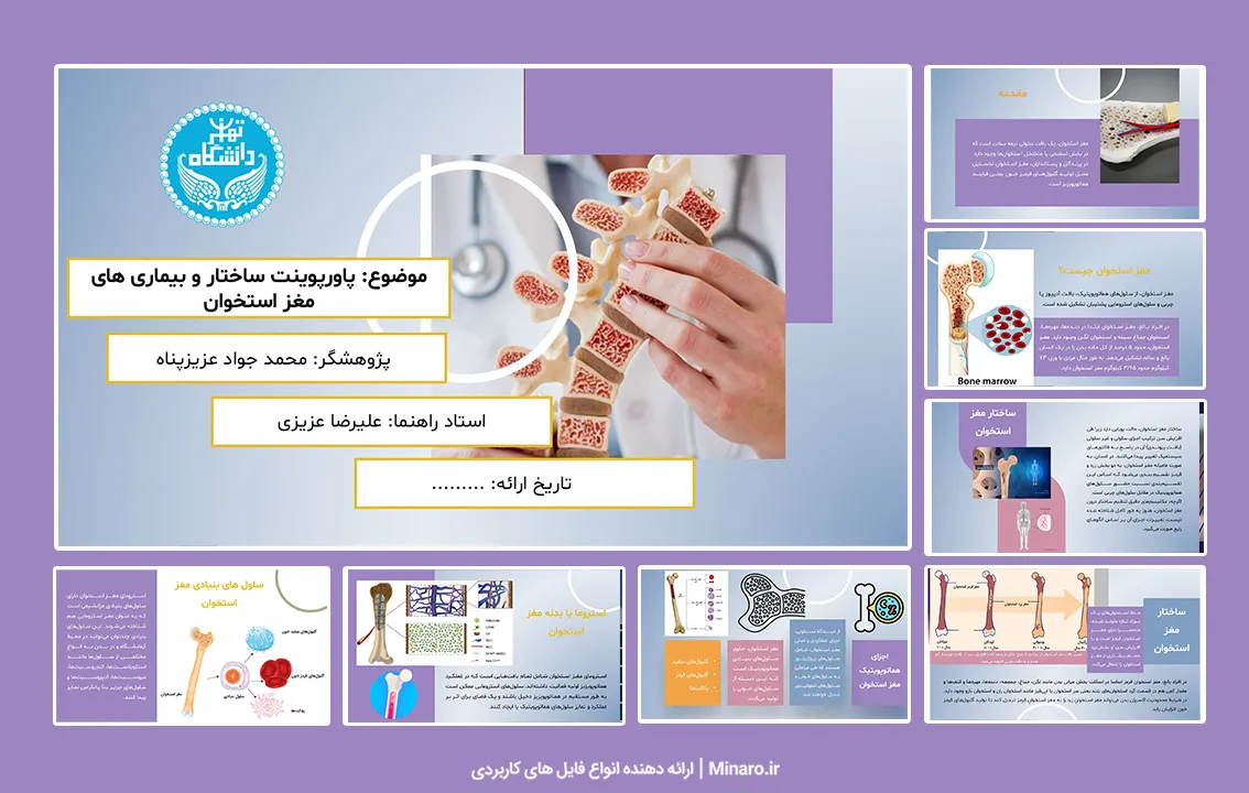 پاورپوینت ساختار و بیماری های مغز استخوان