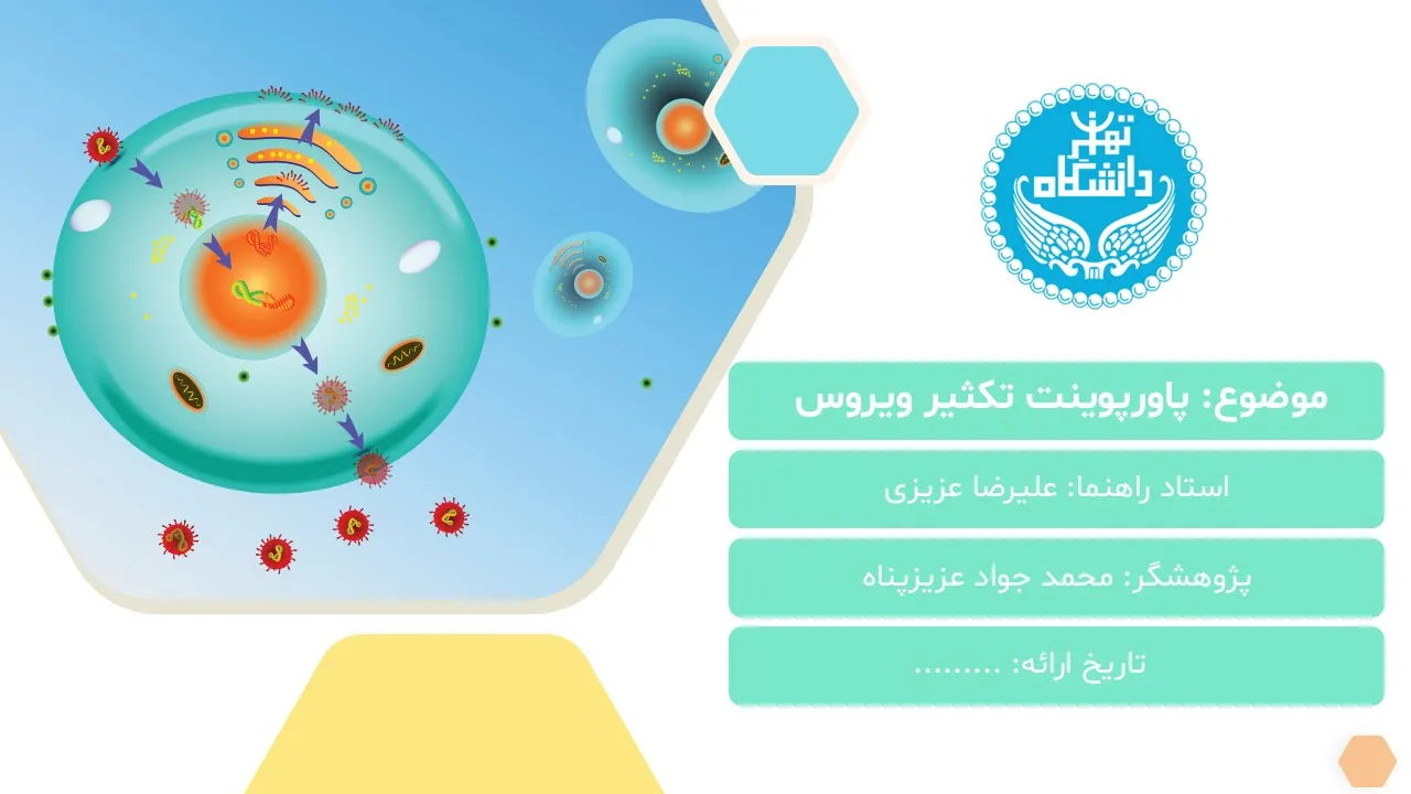 virus-replication-powerpoint-03 پاورپوینت تکثیر ویروس