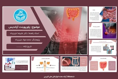 پاورپوینت آپاندیس