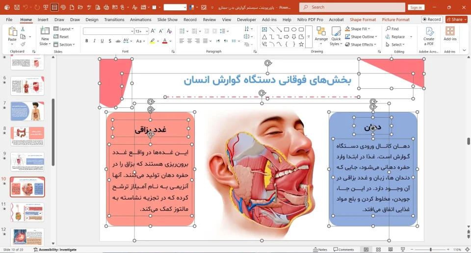 پاورپوینت سیستم گوارش بدن
