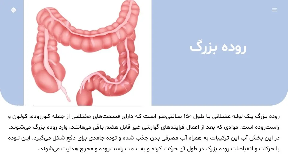 پاورپوینت سیستم گوارش بدن