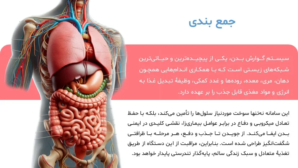 پاورپوینت سیستم گوارش بدن