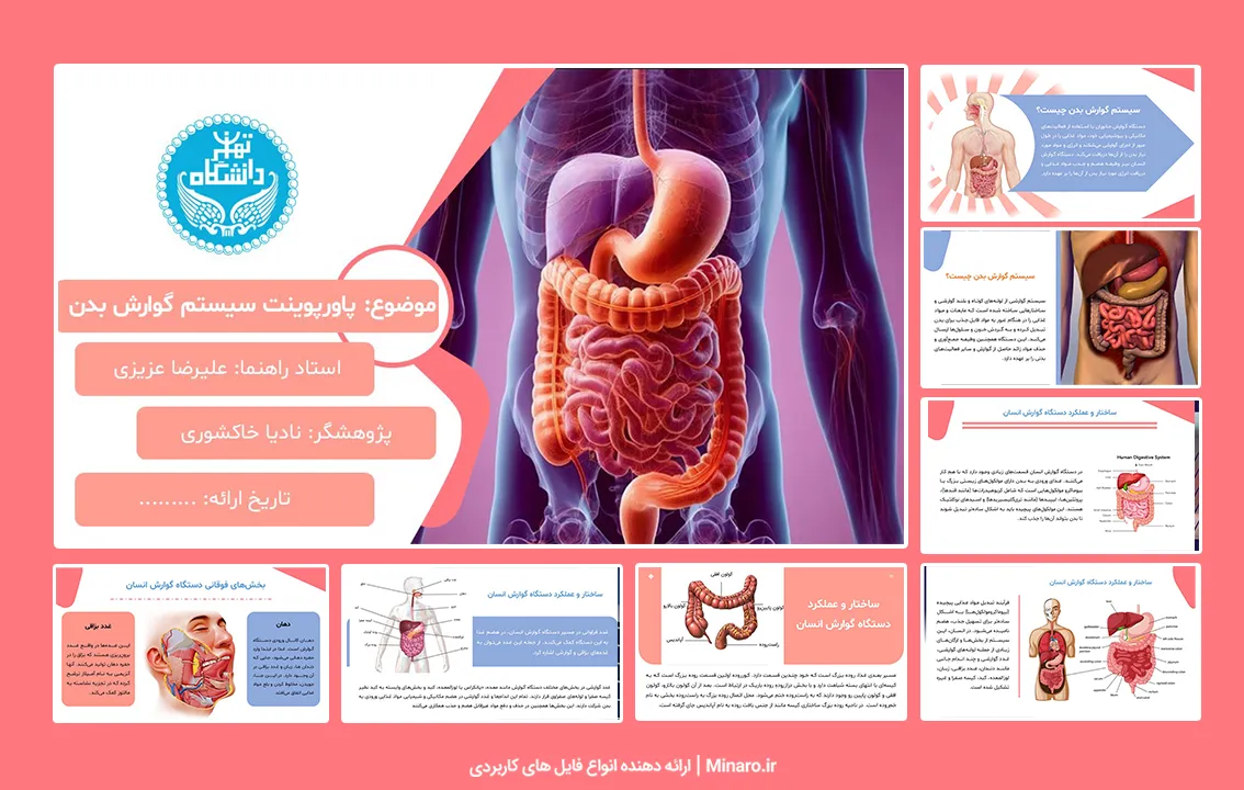 پاورپوینت سیستم گوارش بدن