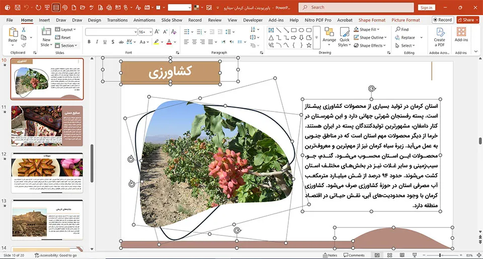 پاورپوینت استان کرمان