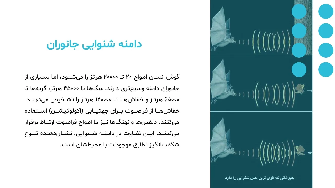 sound-waves-powerpoint-10 پاورپوینت امواج صوتی